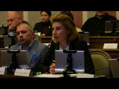 თამარ ტალიაშვილის გამოსვლა 2020 წლის ბიუჯეტის დამტკიცებაზე თბილისის საკრებულოში